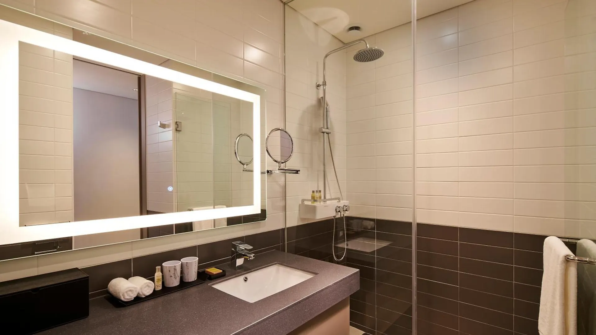Hilton Garden Inn Seoul Gangnam 4*,  Южная Корея