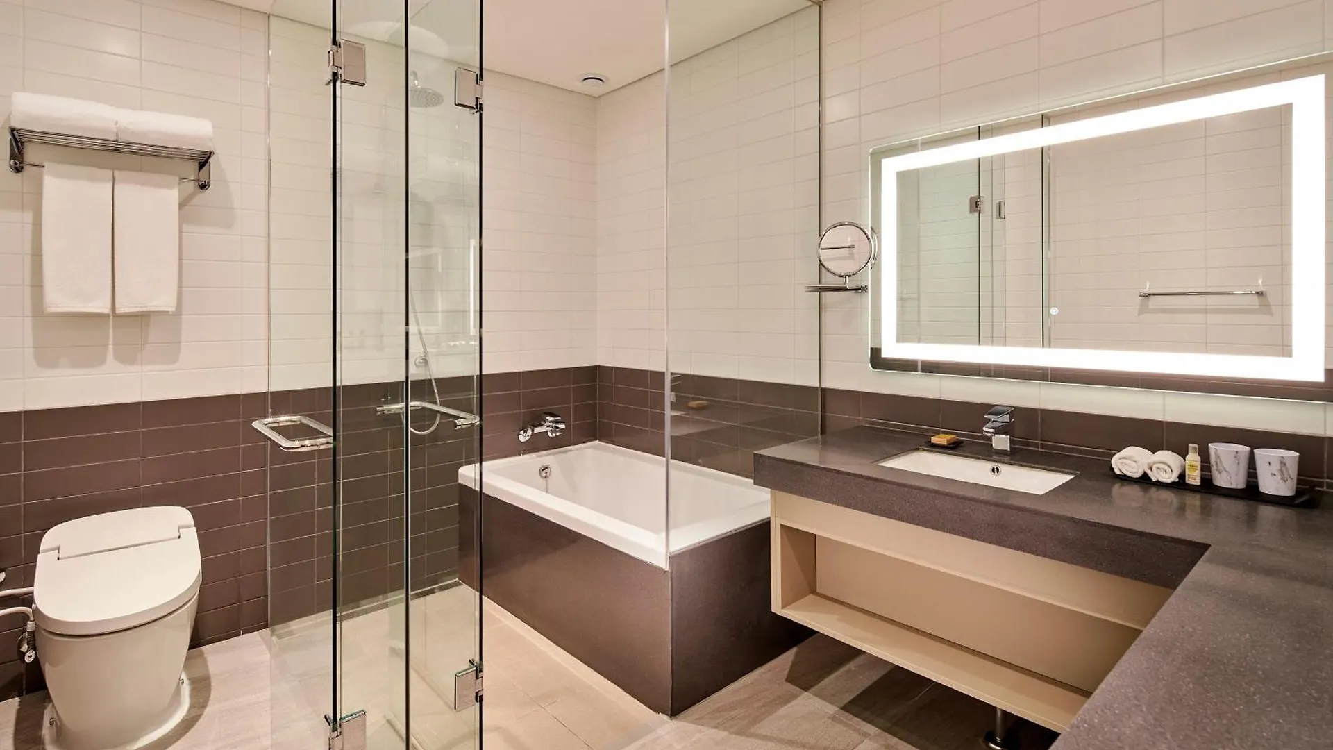 Отель Hilton Garden Inn Seoul Gangnam