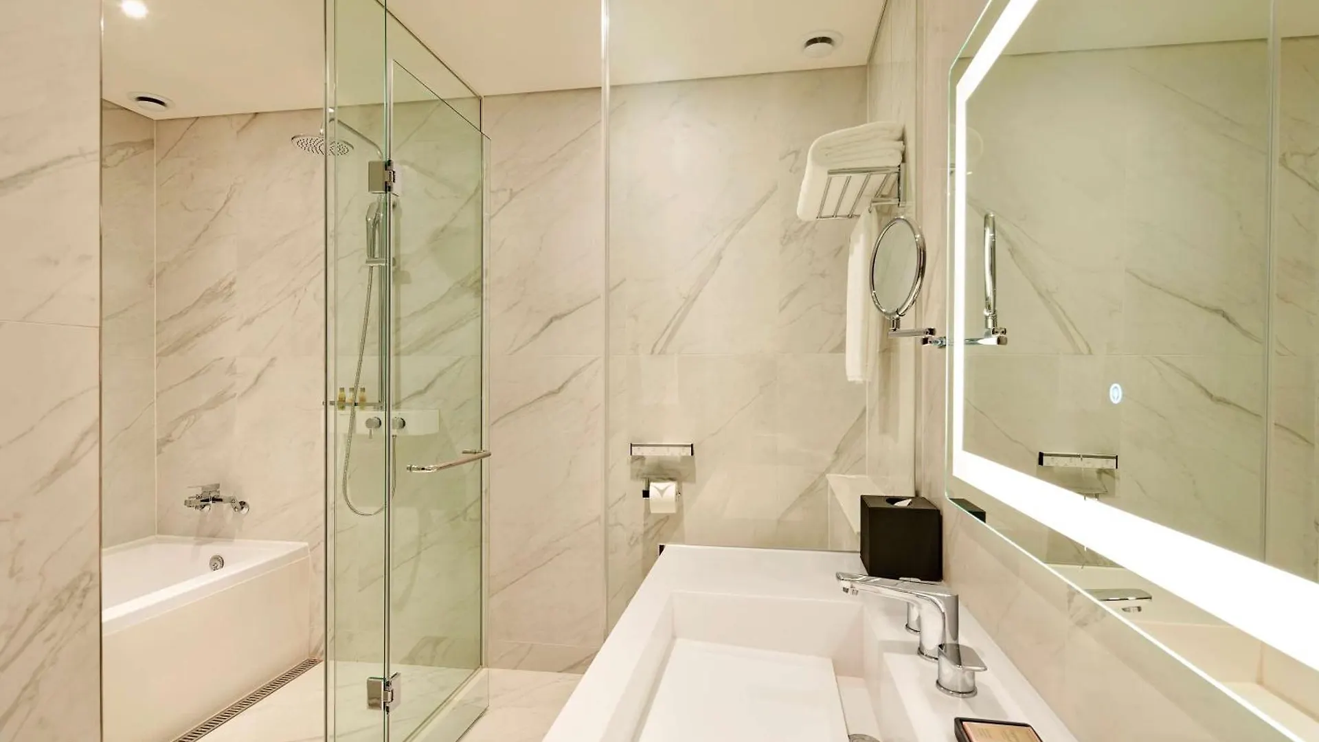 Отель Hilton Garden Inn Seoul Gangnam